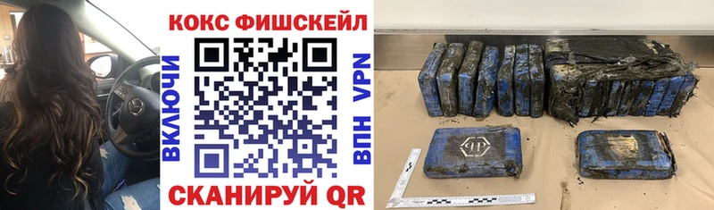COCAIN Fish Scale Кологрив