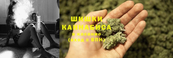 apvp Осташков
