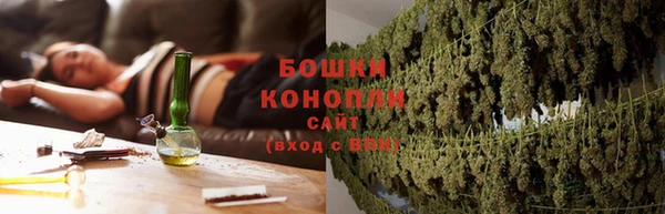 гашик Белоозёрский